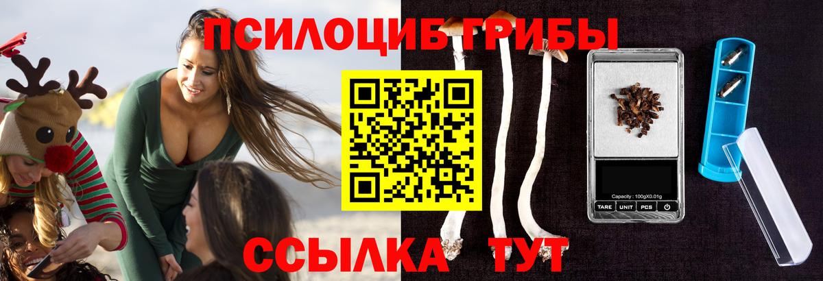 Псилоцибиновые грибы прущие грибы  Вход с VPN  дарнет шоп  Курчалой 